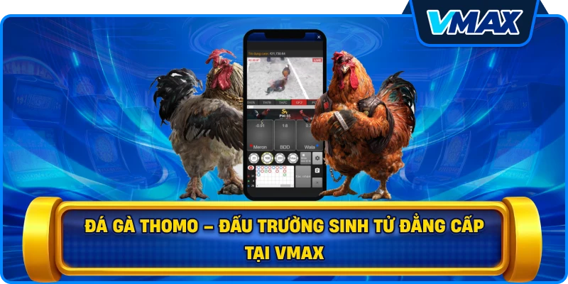 Đá gà Thomo – Đấu trường sinh tử đẳng cấp tại vmax