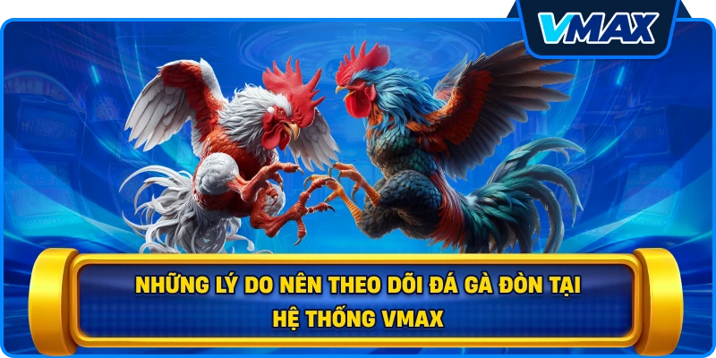 Những lý do nên theo dõi đá gà đòn tại hệ thống vmax