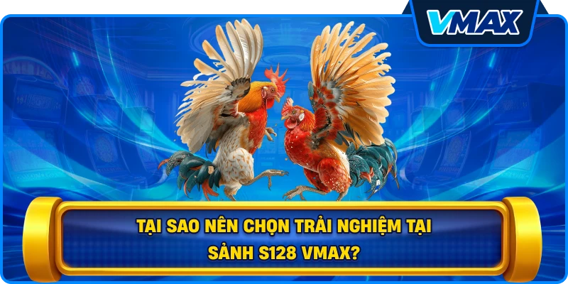 Tại sao nên chọn trải nghiệm tại sảnh S128 vmax?
